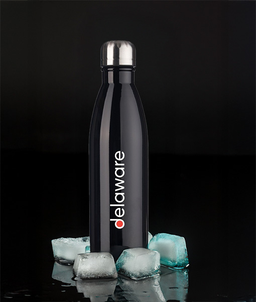 Garrafa Preta em Inox 750ML- delaware